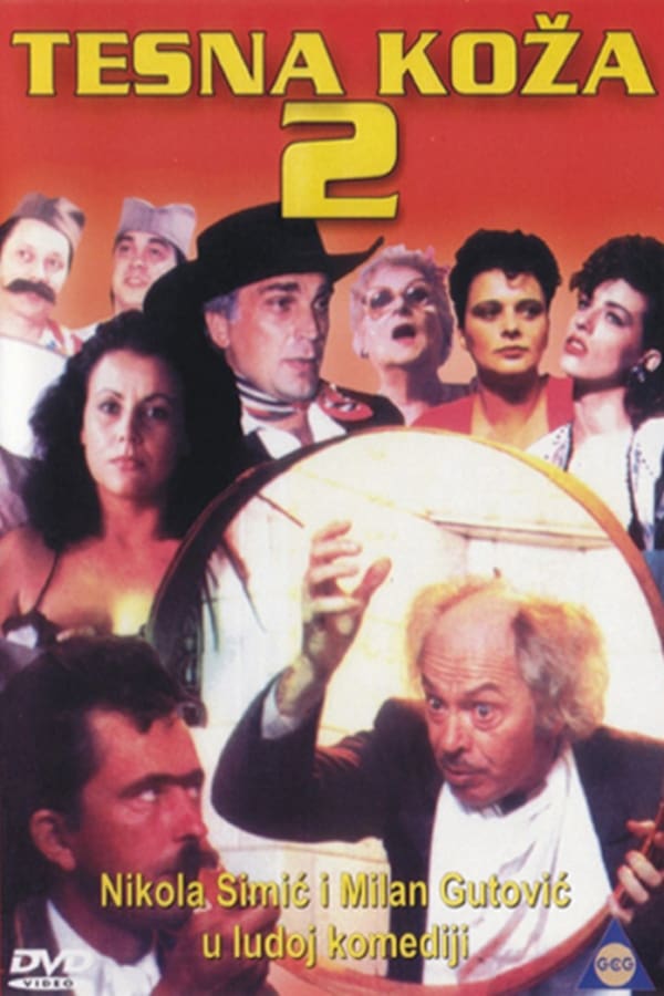 Poster filma ili serije Tijesna koža 2 (1987)