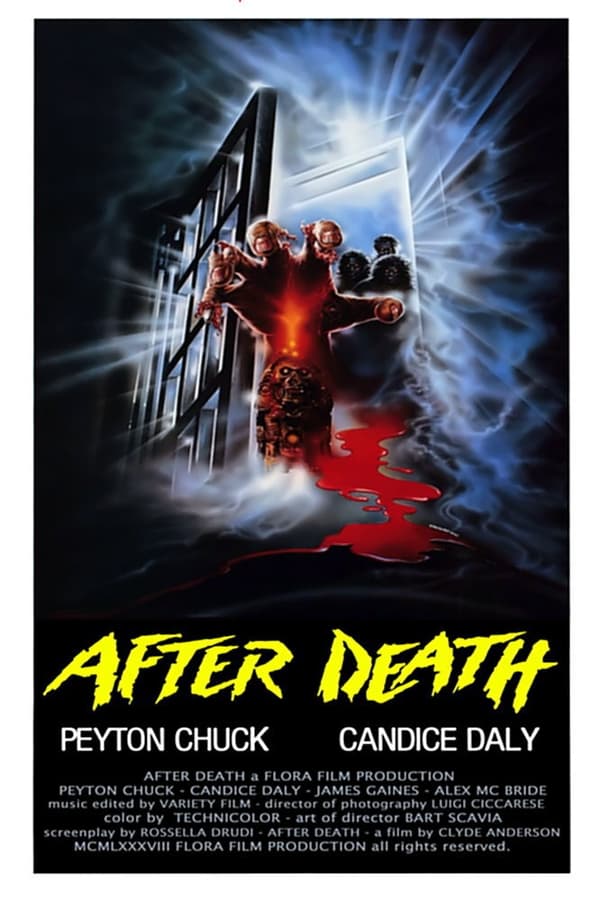 Poster filma ili serije After Death - Oltre la morte (1990)