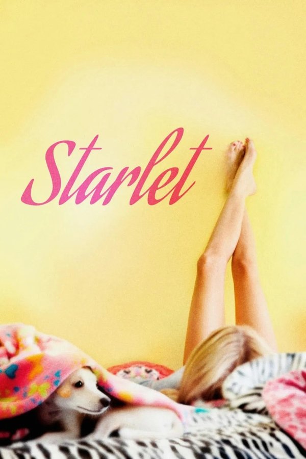 Poster filma ili serije Starlet (2012)