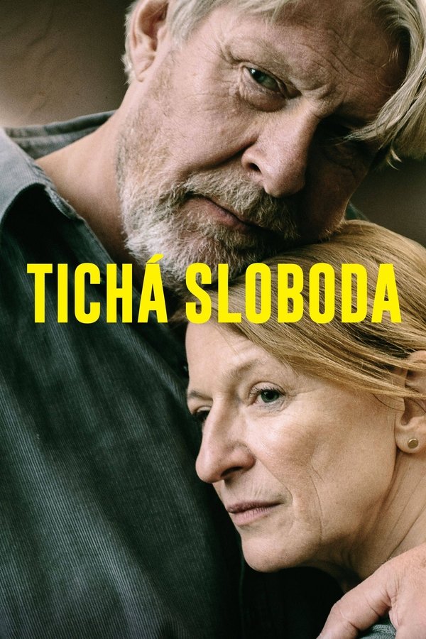 Poster filma ili serije Ein großes Versprechen (2022)