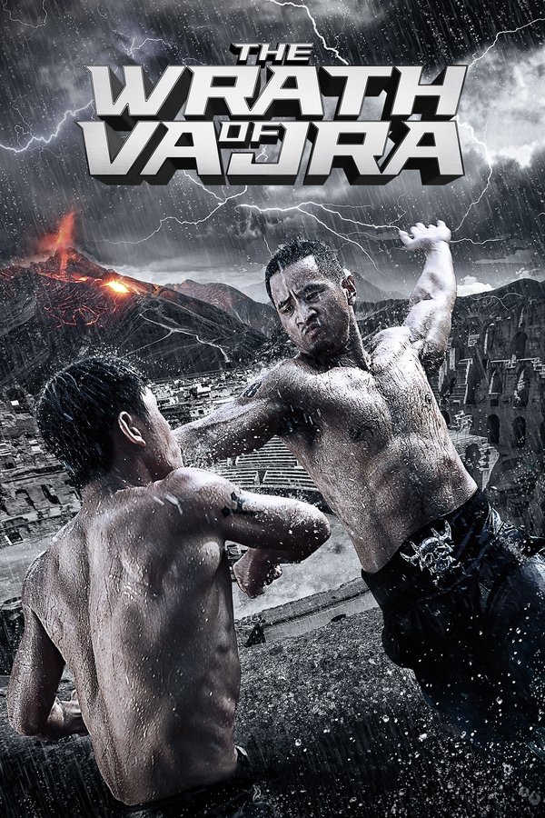 Poster filma ili serije 金刚王 (2013)