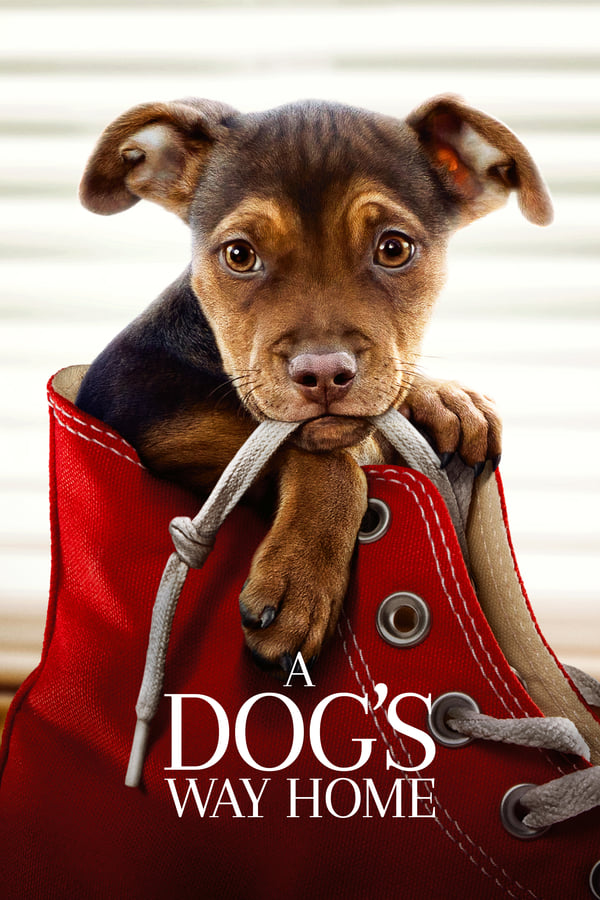 Poster filma ili serije A Dog's Way Home (2019)
