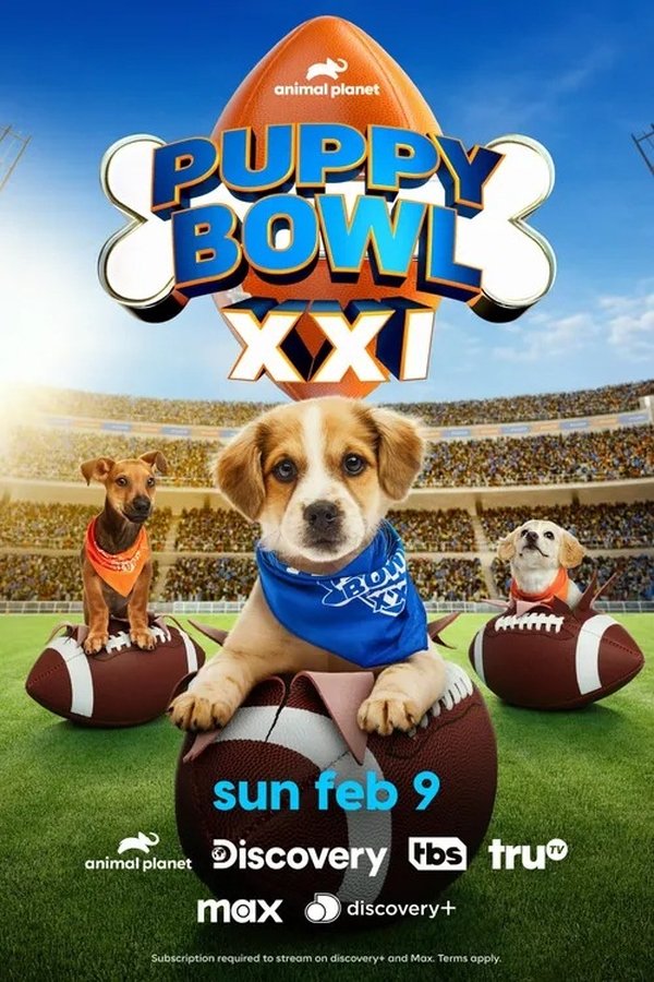 Poster filma ili serije Puppy Bowl XXI (2025)