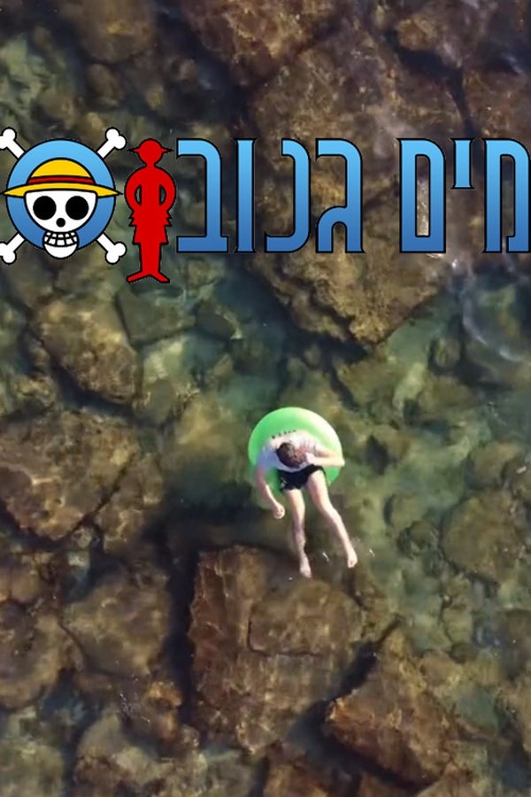 Poster filma ili serije Stolen Water (2024)