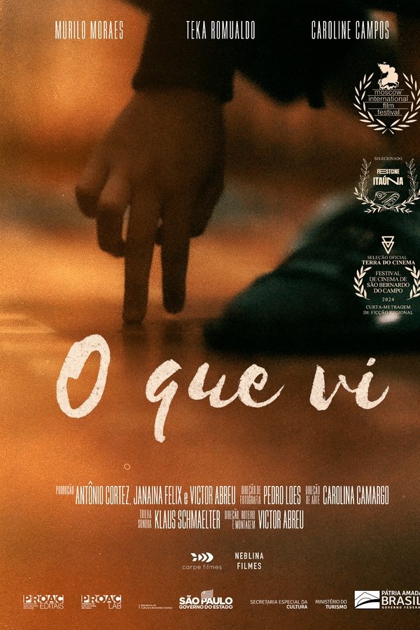 Poster filma ili serije O Que Vi (2024)