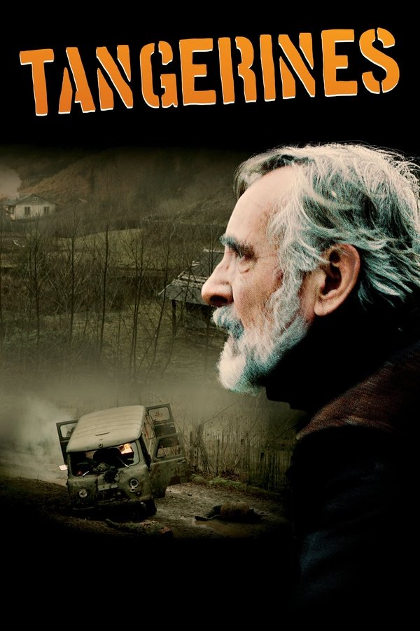 Poster filma ili serije Tangerines (2013)