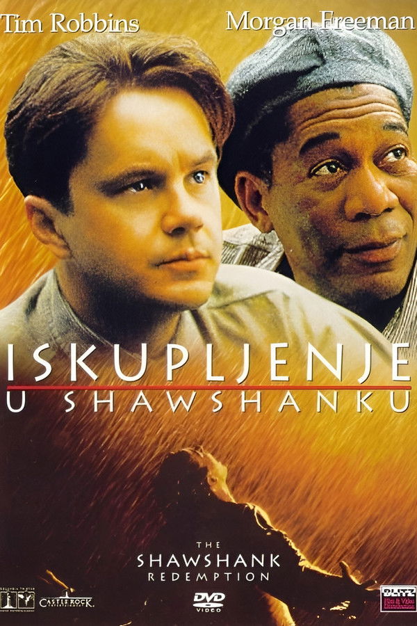 Poster filma ili serije Iskupljenje u Shawshanku (1994)