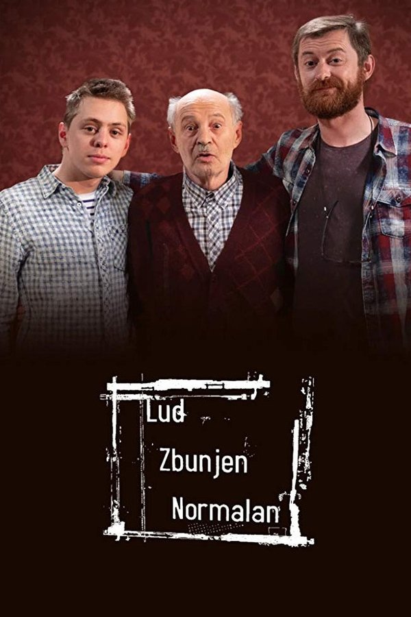 Poster serije Lud, zbunjen, normalan (2007)