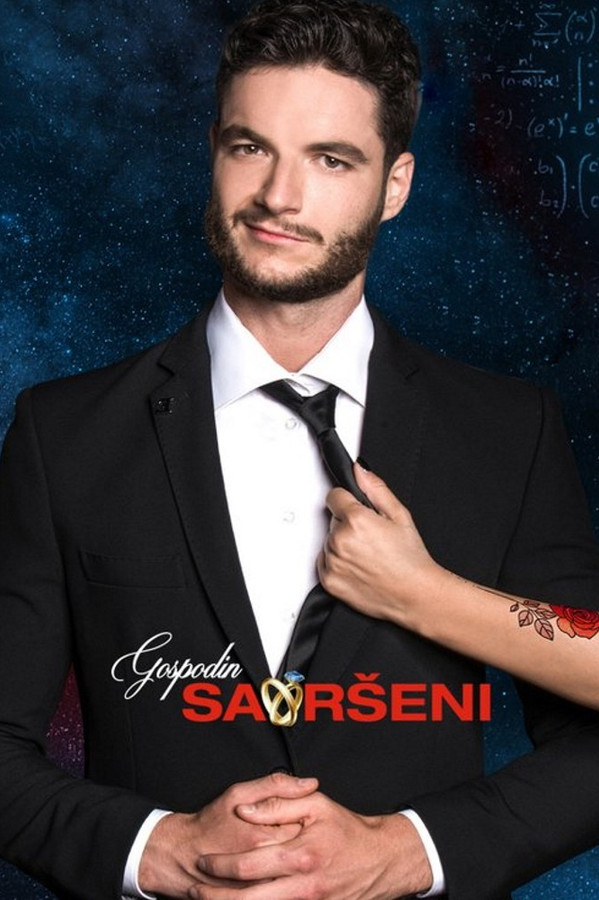 Poster filma ili serije Gospodin Savršeni (2018)