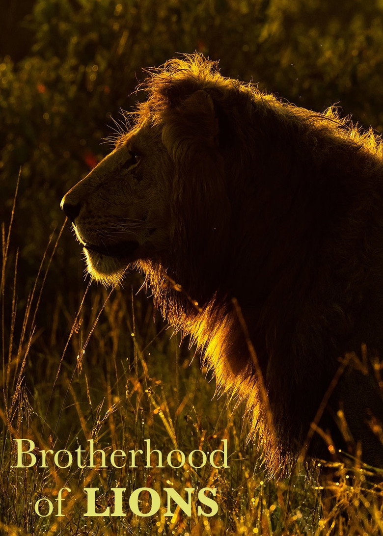 Poster serije Lavlje bratstvo / Brotherhood of Lions (2024)