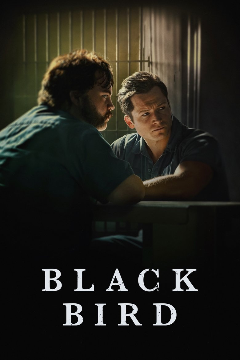 Poster serije Black Bird (2022)