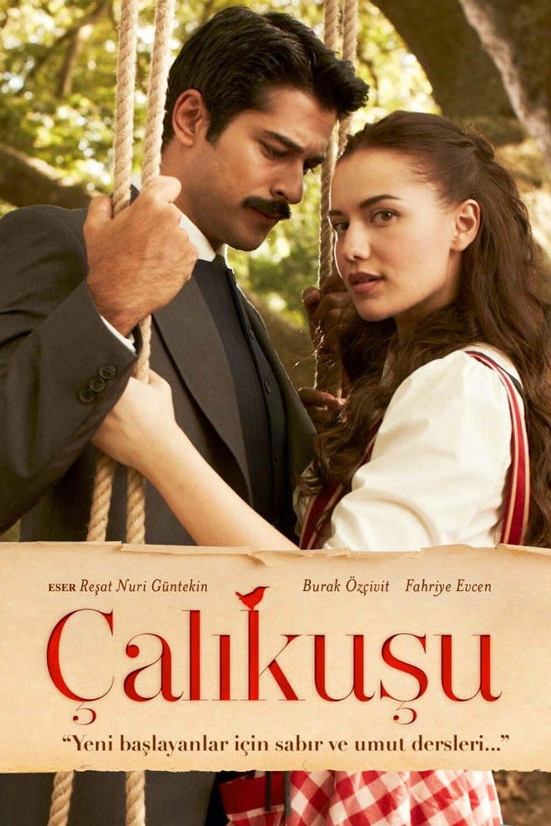 Poster serije Çalıkuşu (2013)
