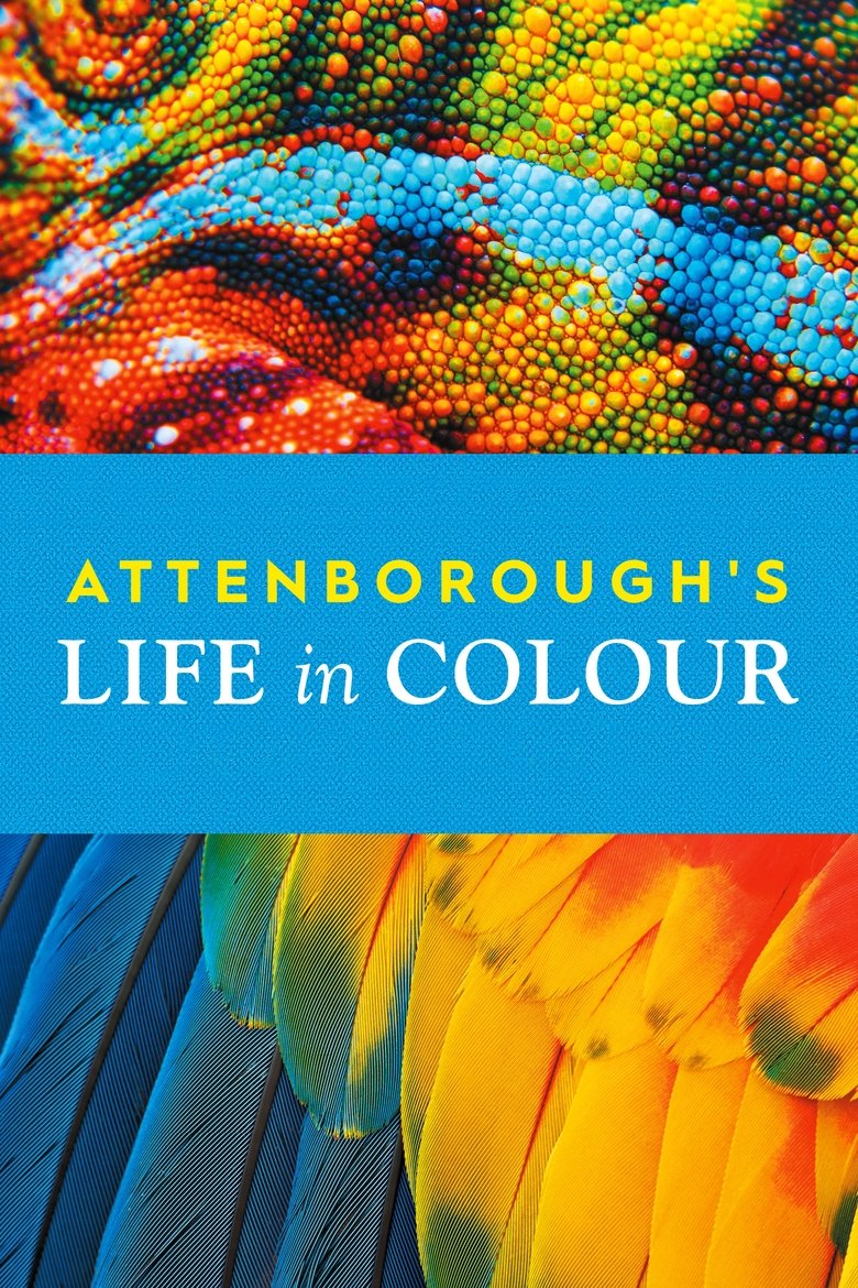 Poster filma ili serije Attenborough's Life in Colour (2021)