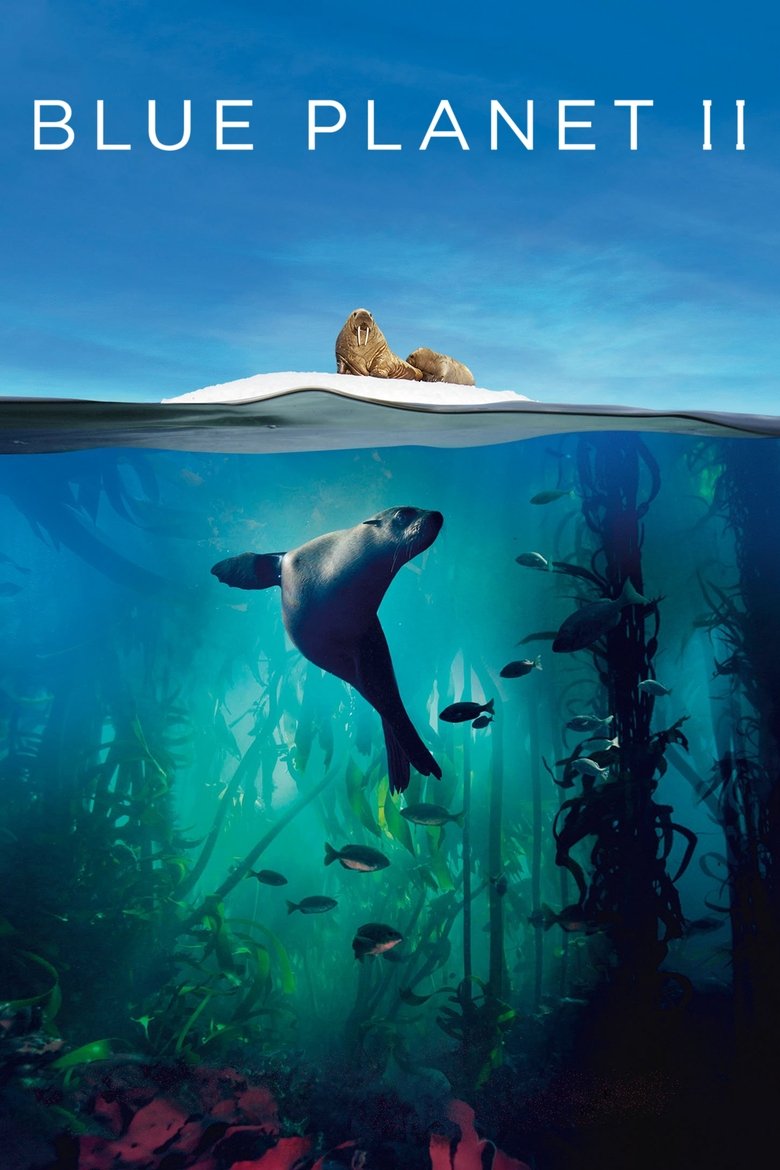 Poster serije Plavi planet II (2017)