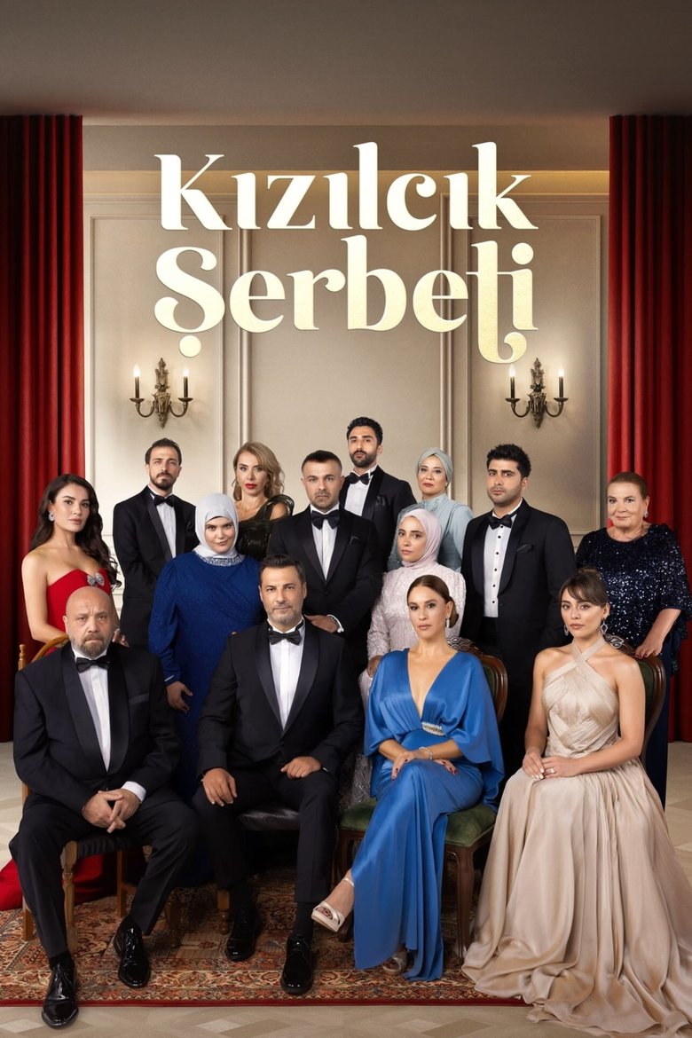 Poster serije Serbet od Brusnice / Kızılcık Şerbeti (2022)