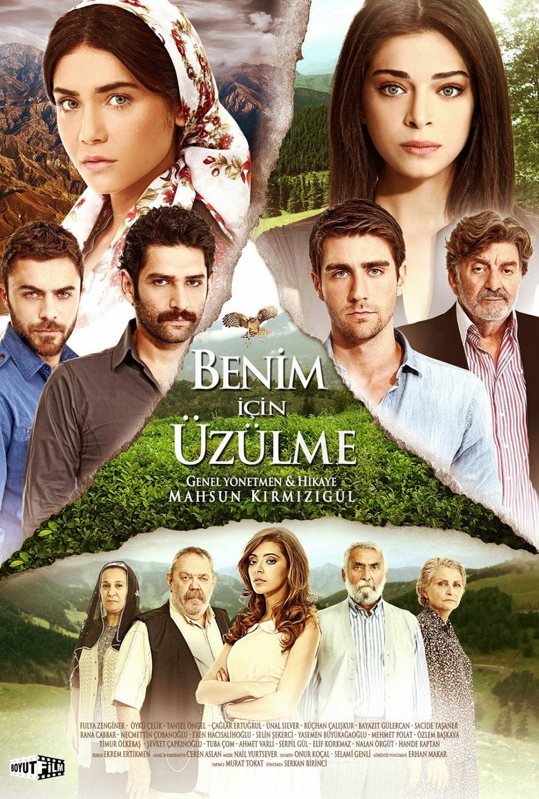 Poster serije Ne brini za mene (2012)